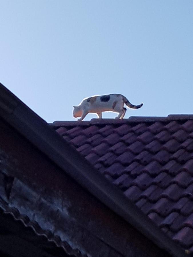 Stoermthal 1 Sonnenweg